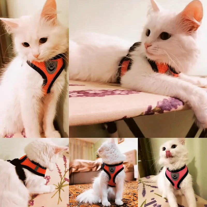 Adjustable Vest Walking Leash