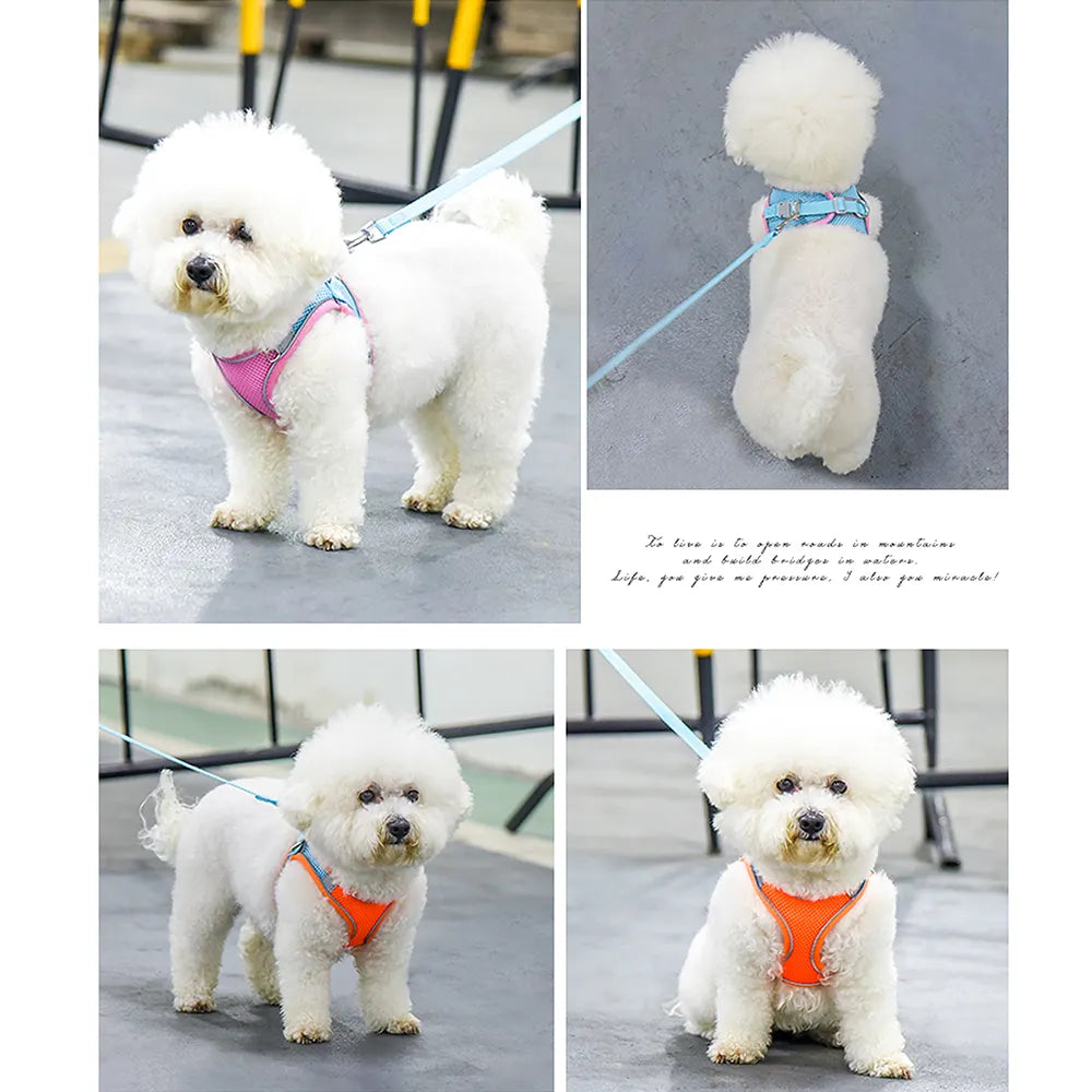 Adjustable Dog Vest Harness Many More Essentials